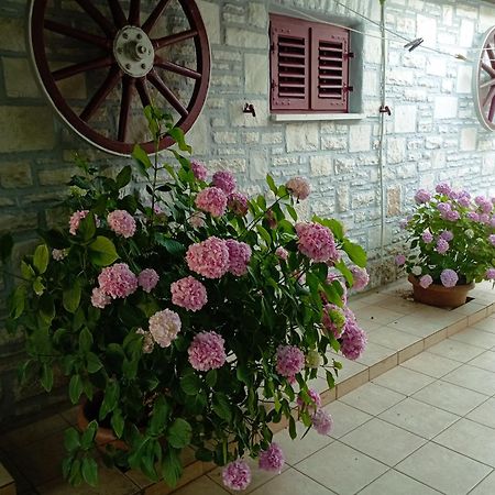 Apartman Sunce 乌马格 外观 照片