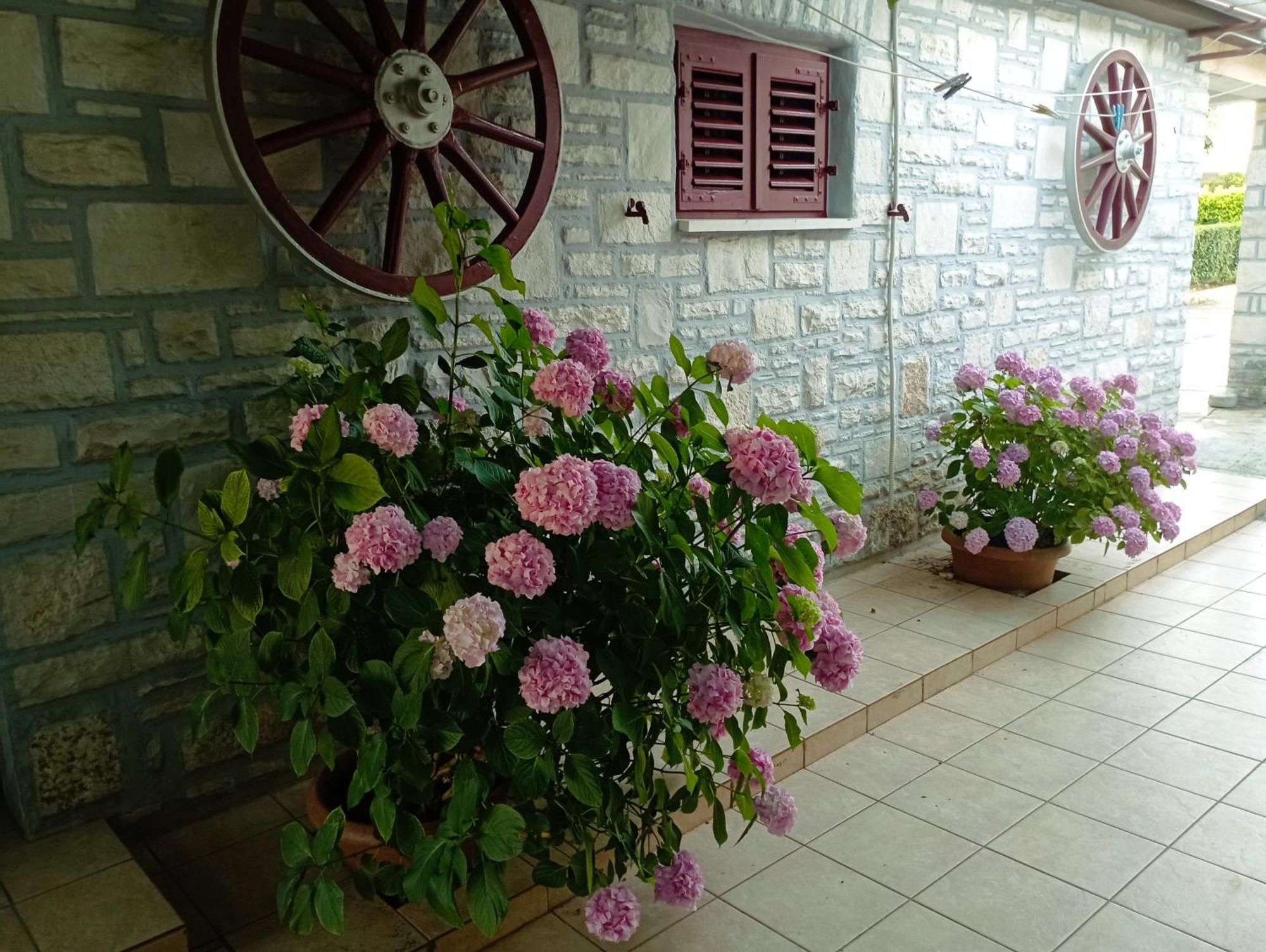 Apartman Sunce 乌马格 外观 照片